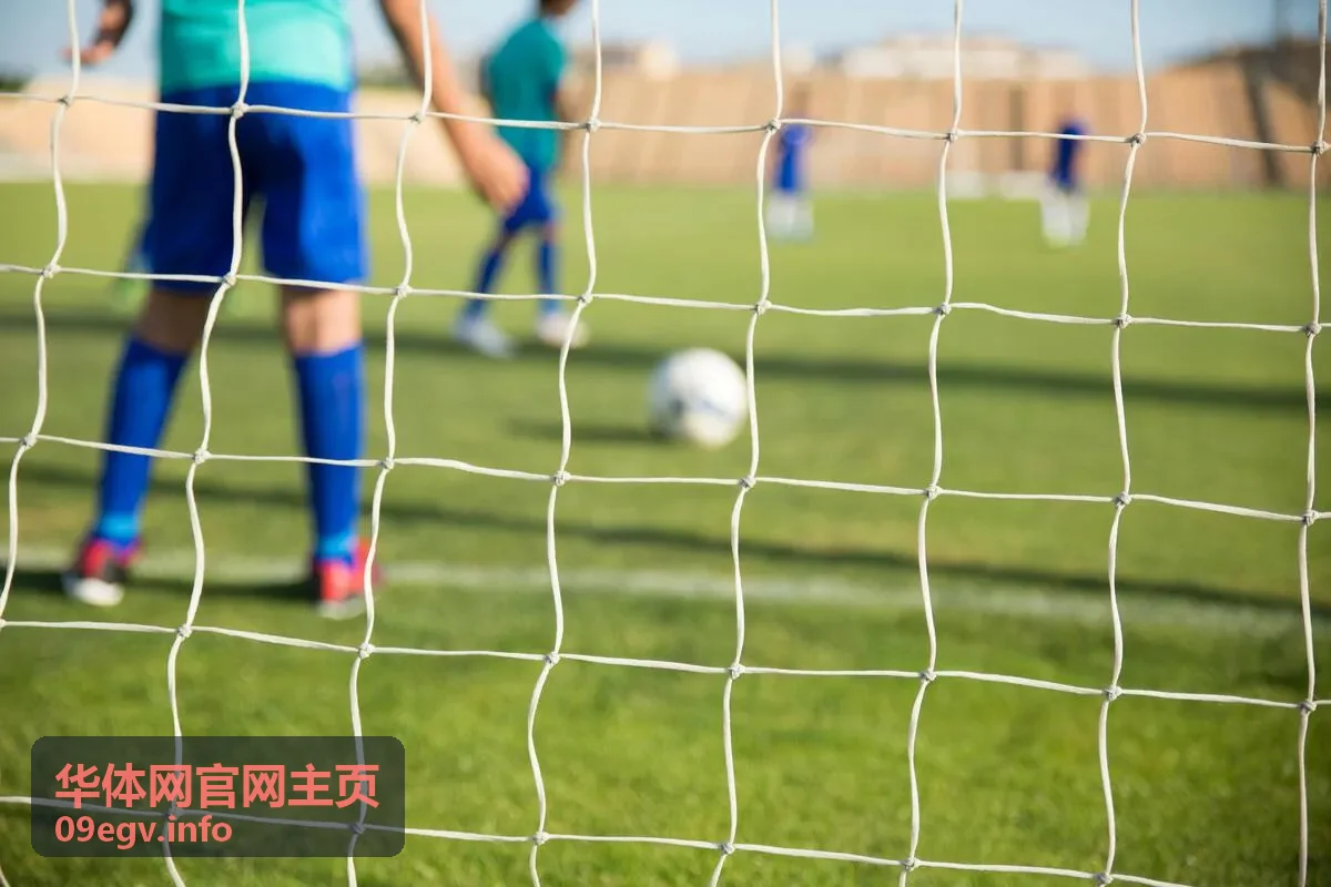 体育场馆智慧升级方案